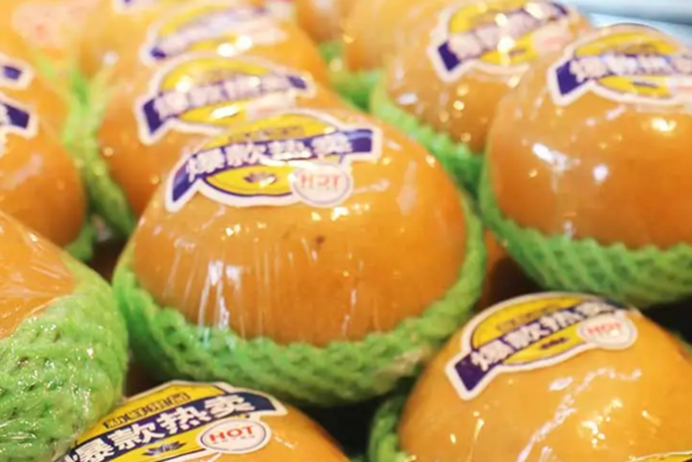 WWP-FR30
